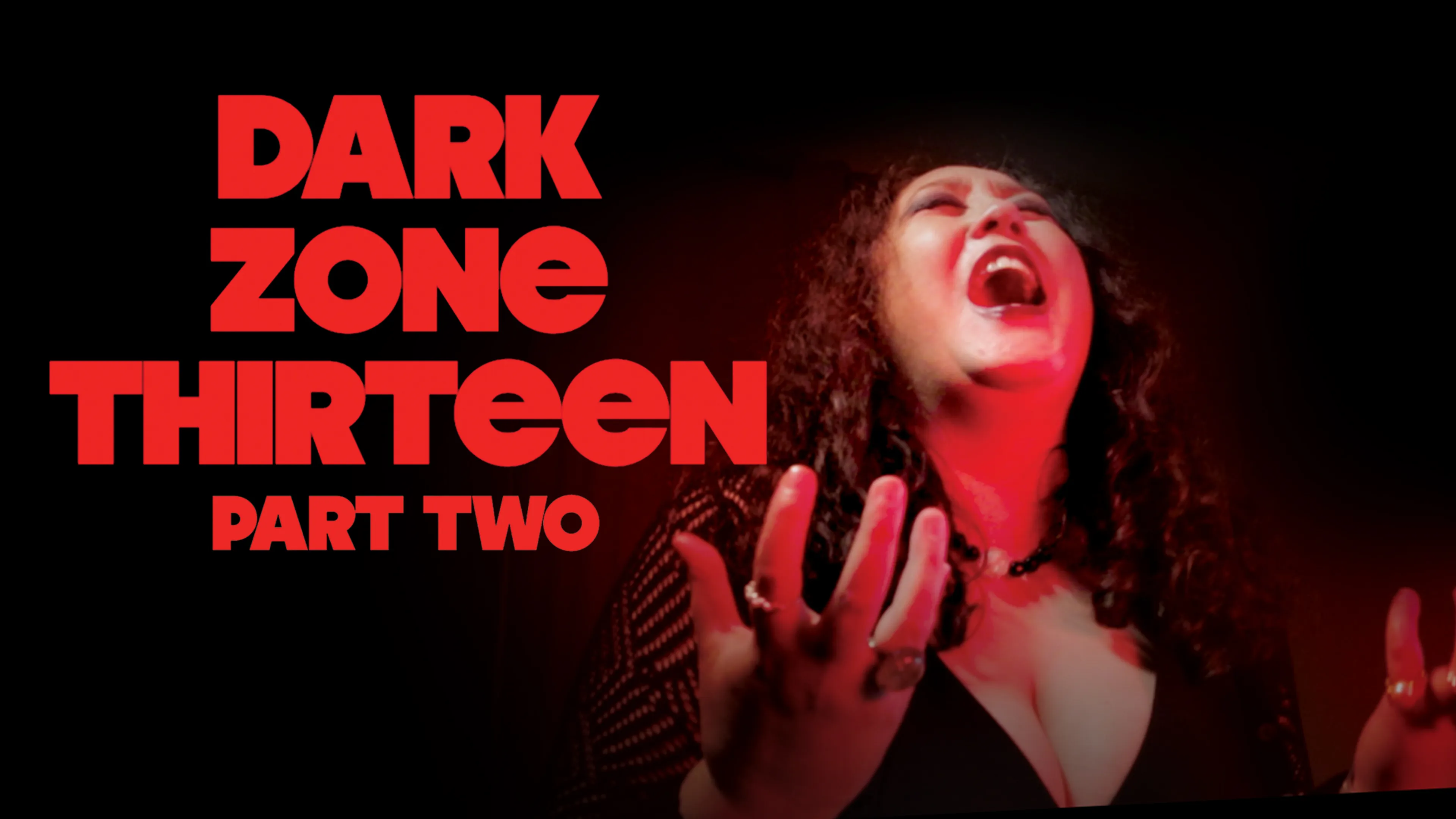 Dark Zone Thirteen Part Two poster
